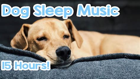 music to calm dogs youtube|relaxing sleep music for dogs.